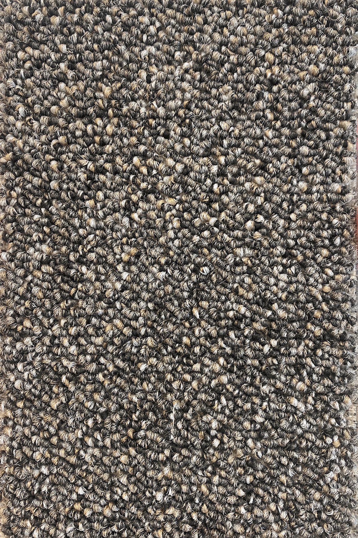 Ковровое покрытие "Bonkeel" Nero 97 (ширина 4м) — купить в Твери