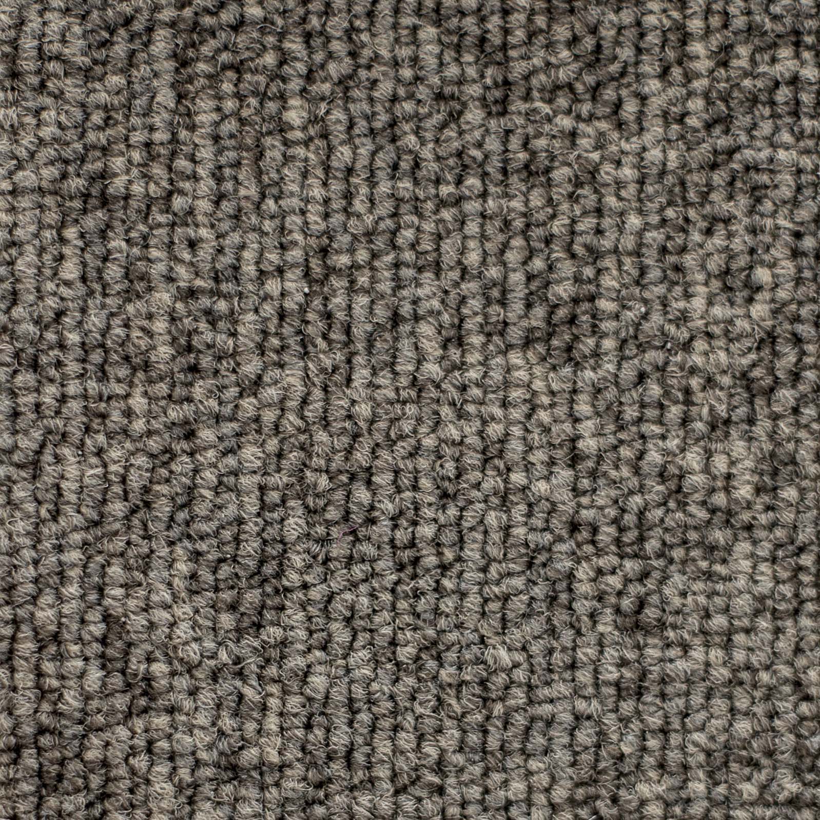 Ковролин "Зартекс" Daily 68 коричневый (4м) — купить в Твери