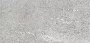 Керамогранит Конжак (Kondjak) 300*600 матовый элегант G261MR — купить в Твери