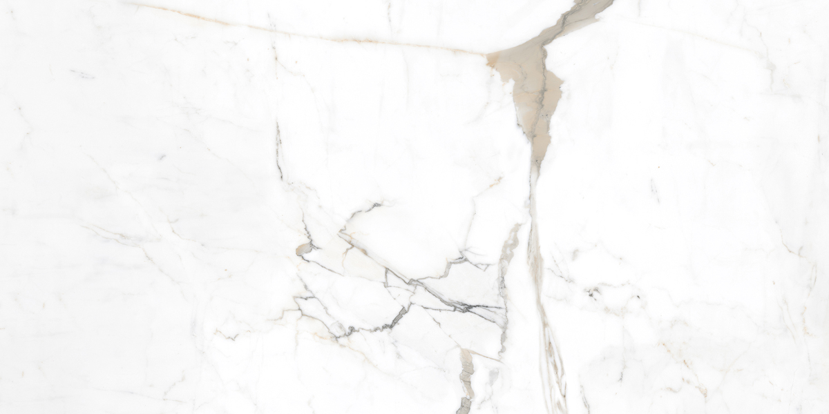 Керамогранит Pallisandro (Паллисандро) 600x1200 оро SR — купить в Твери