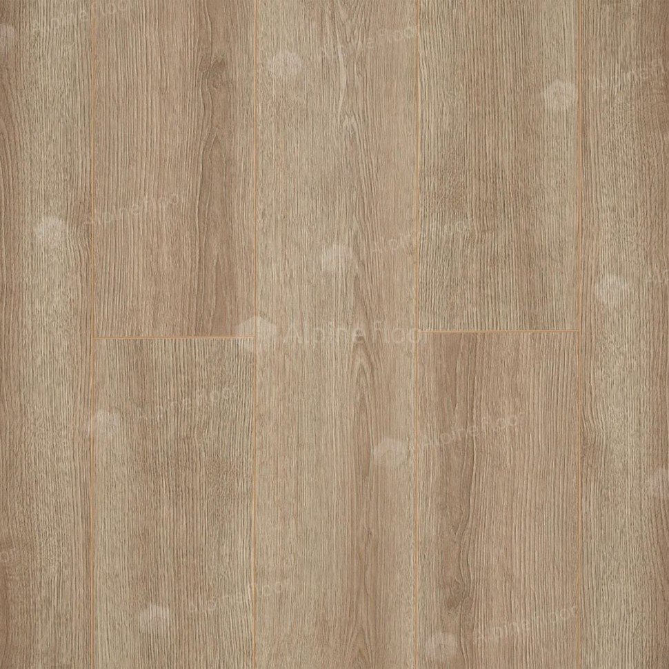 Ламинат "Camsan" Дуб Кашемир (1380*190*10 мм) — купить в Твери
