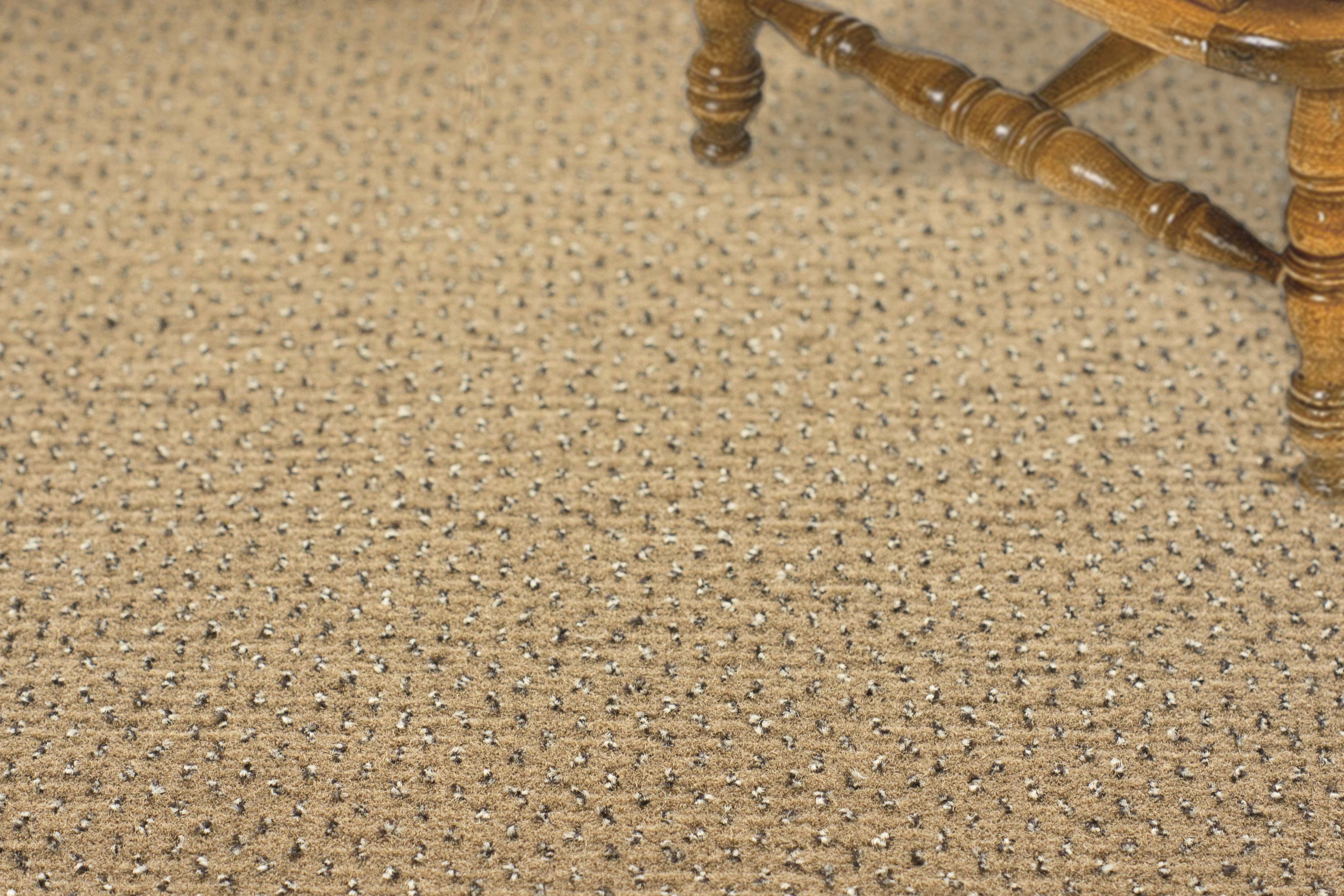 Ковролин "Зартекс" Eternity 142 бежевый (4м) — купить в Твери